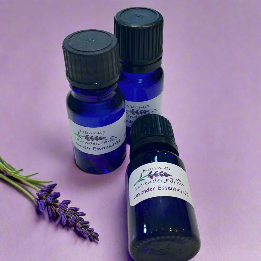 Lavender Essential Oil