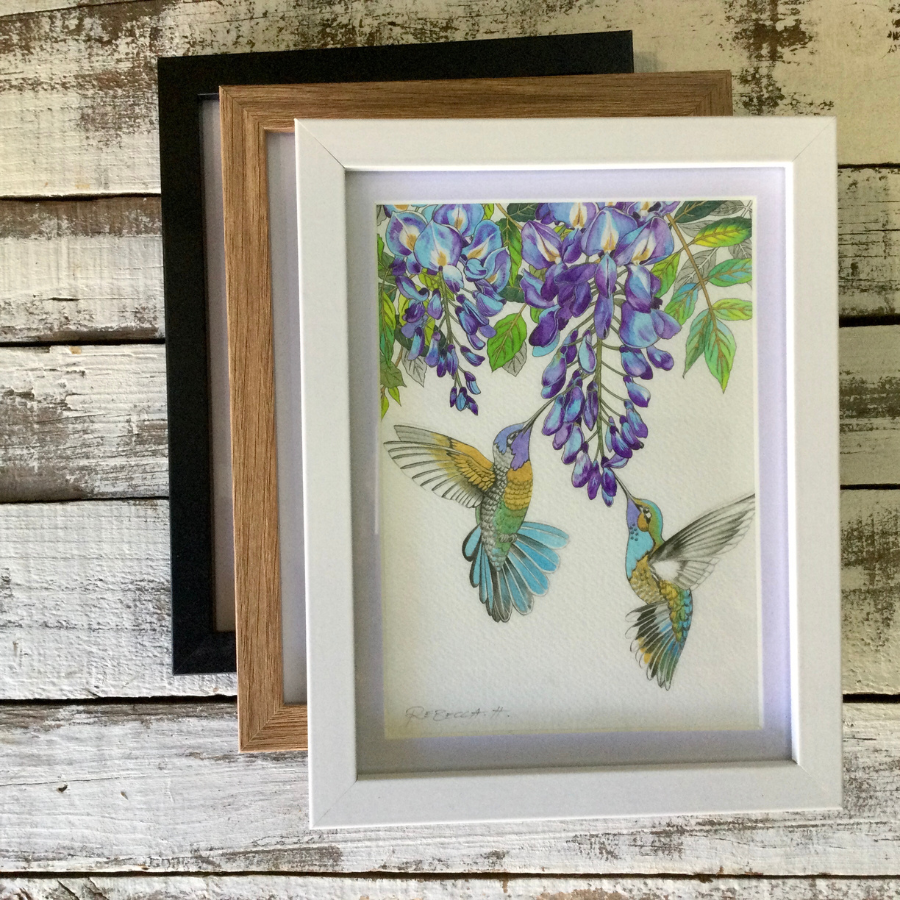 A5 Framed Prints - Hummingbirds Series