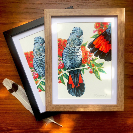 A5 Framed Prints-Cockatoos and Magpies