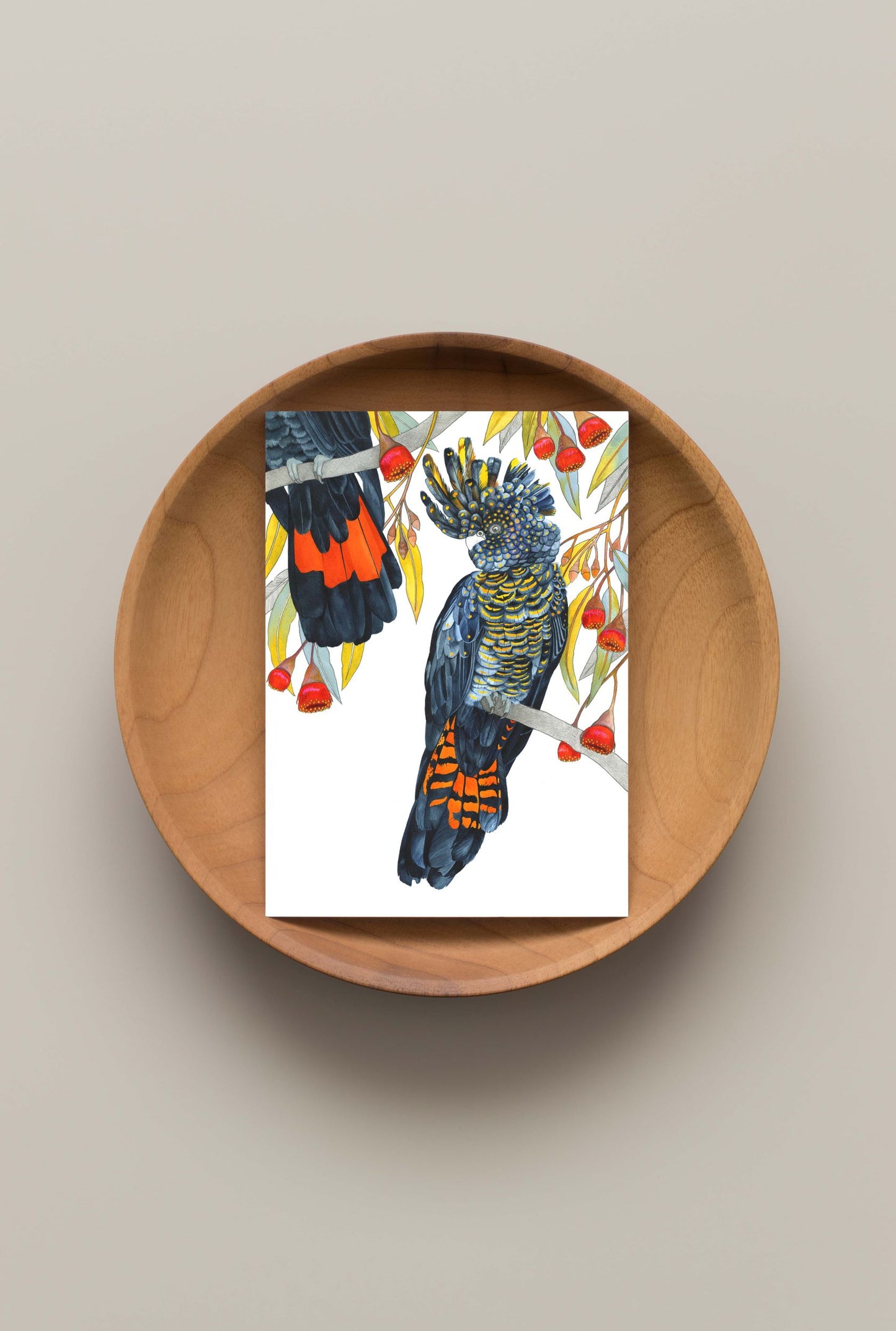 Red Tail Black Cockatoo Cards