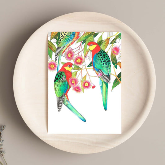 Western Rosellas Card