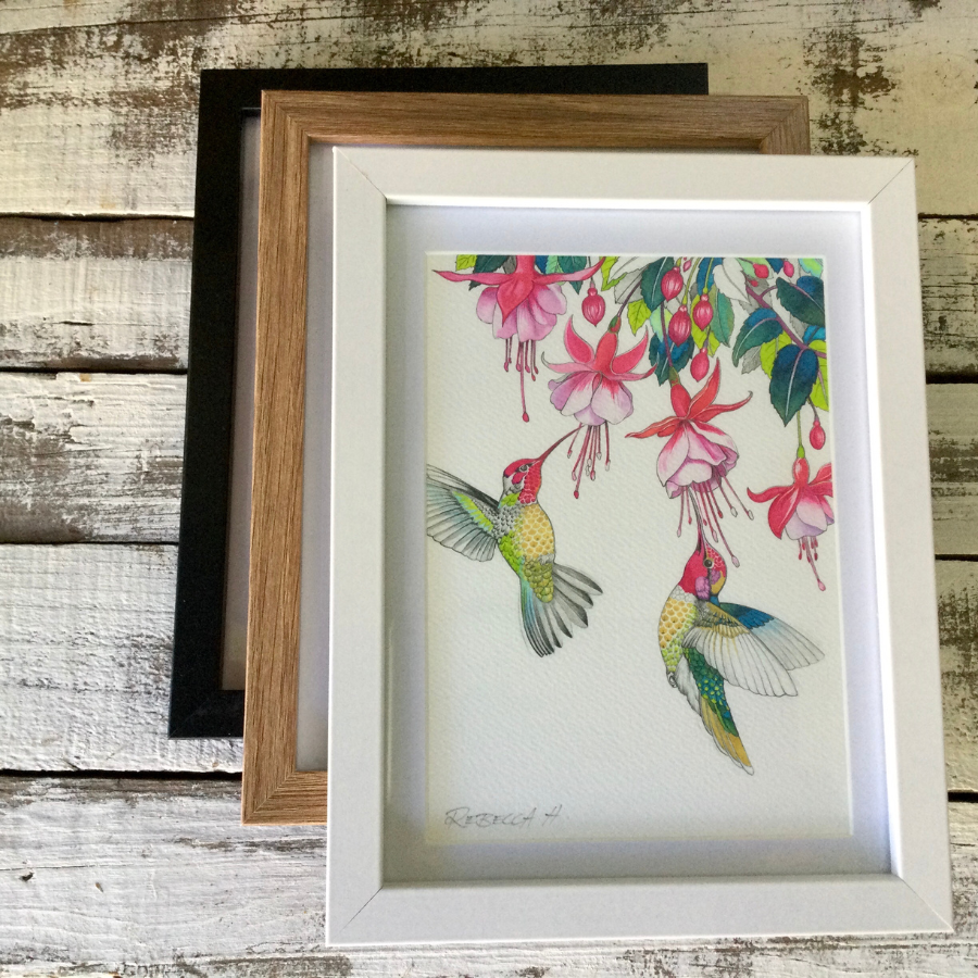A5 Framed Prints - Hummingbirds Series