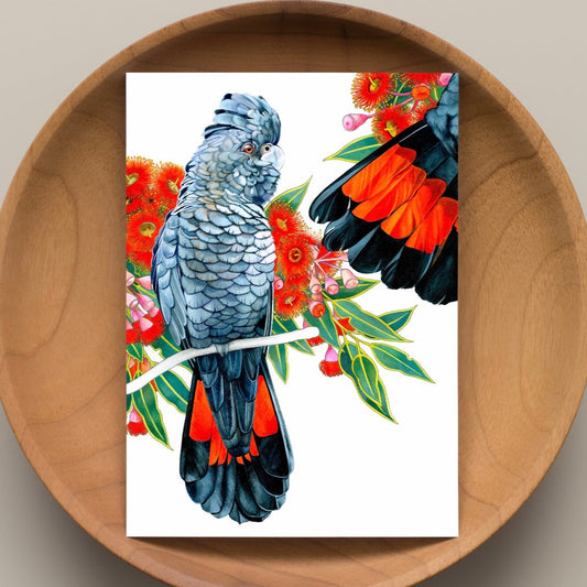Red Tail Black Cockatoo Cards