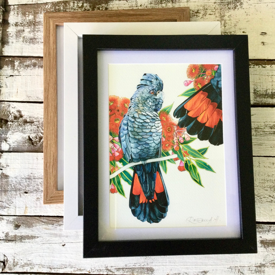 A5 Framed Prints-Cockatoos and Magpies