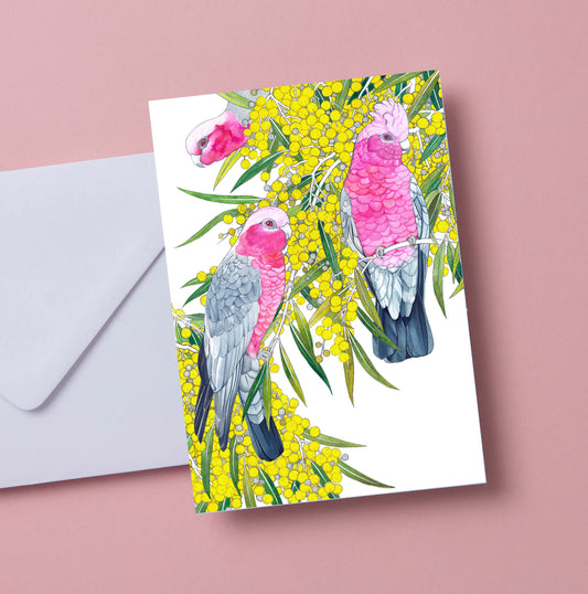 Pink and Grey Galah with Yellow Wattle Card