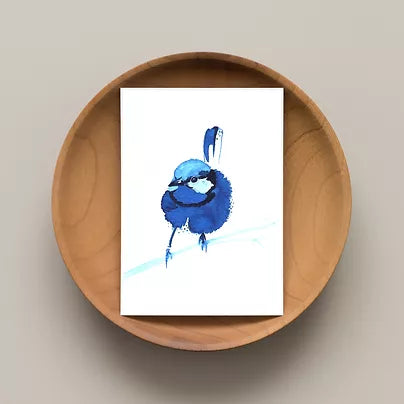 Splendid Wren Card