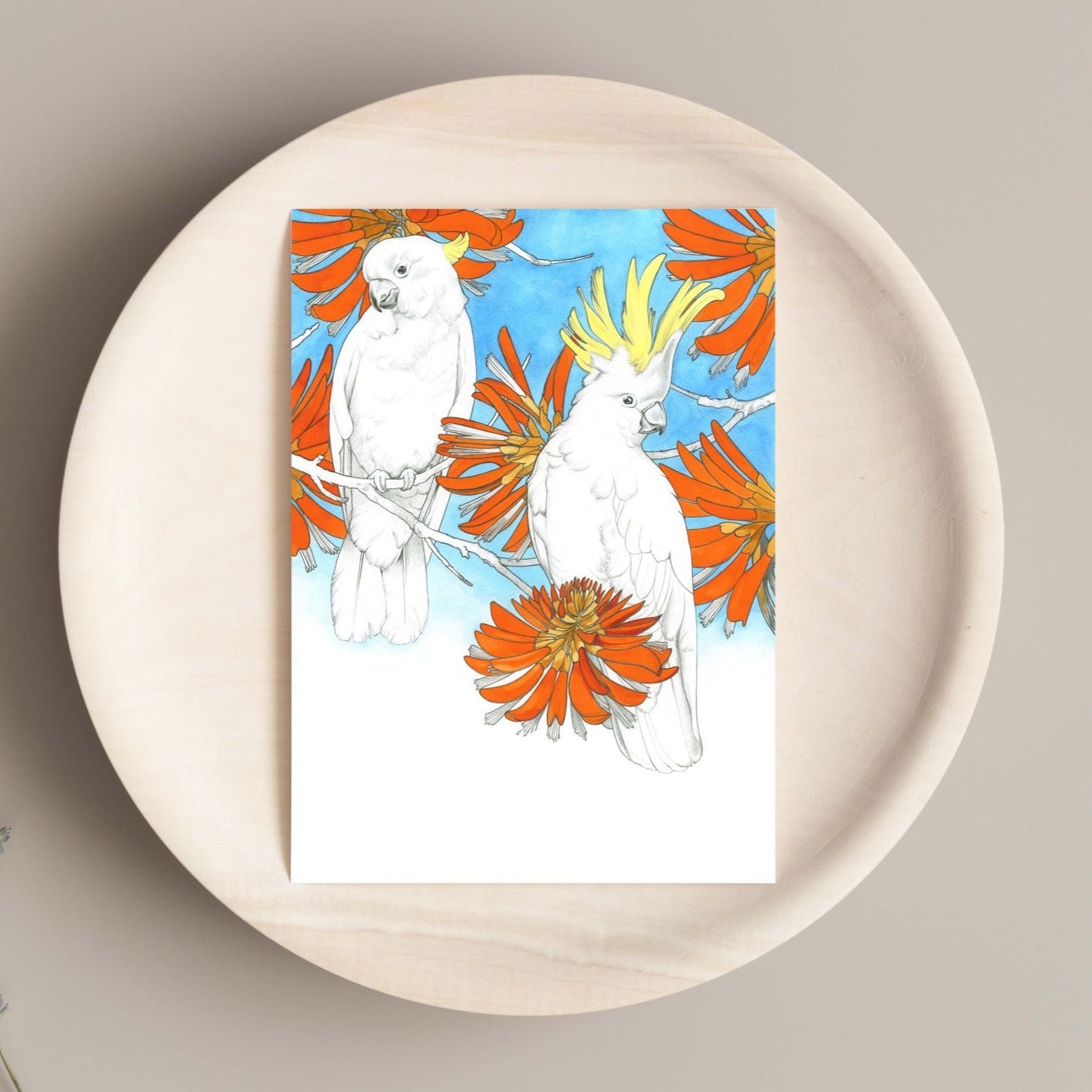 Sulphur Crested Cockatoos Card