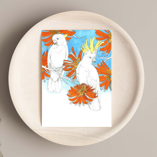 Sulphur Crested Cockatoos Card