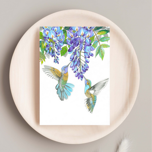 Hummingbird Cards