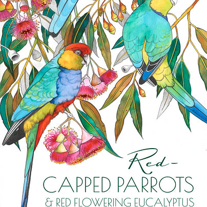 Tea Towel - Australian Parrots